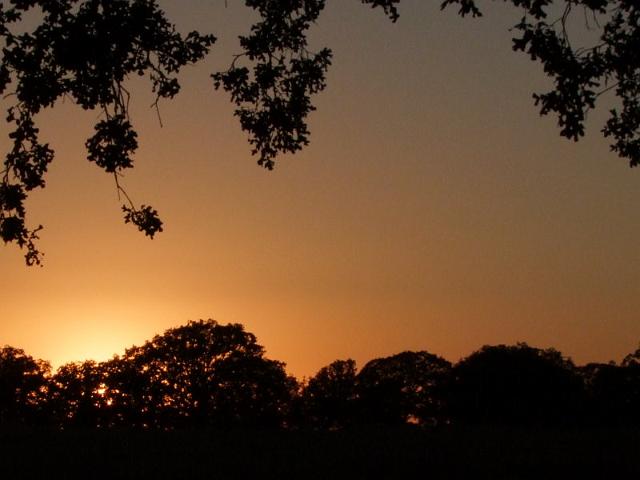 009-Sunset.jpg