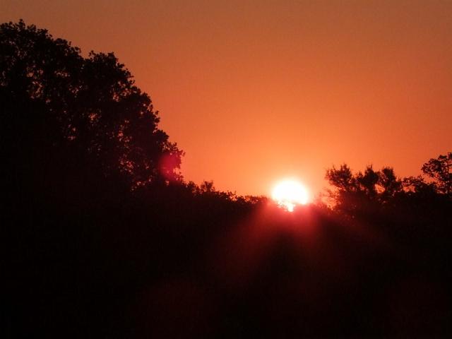 013-Sunrise.jpg