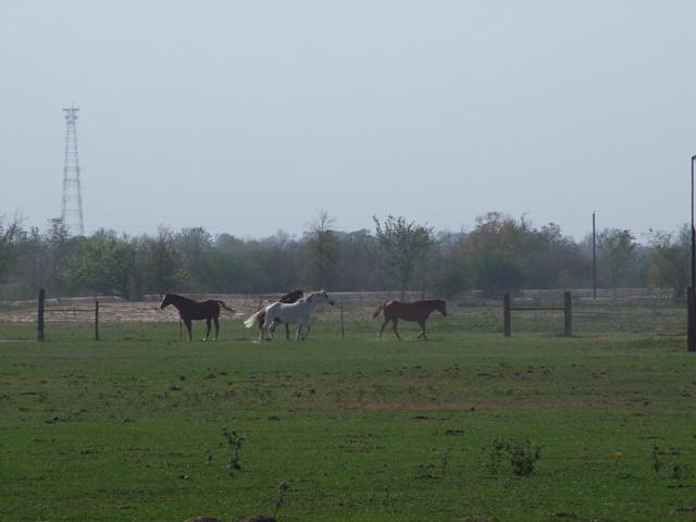 Kings-Kowboys-Monaville-11-19-2011-015.JPG