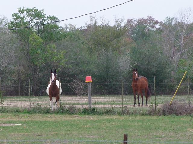 Kings-Kowboys-Monaville-11-19-2011-032.JPG