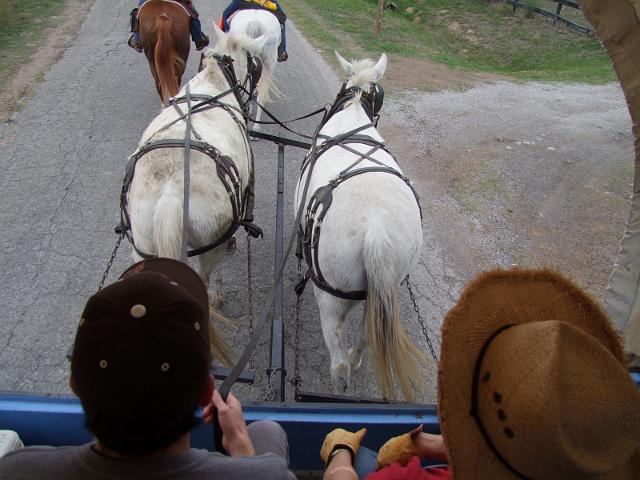 Kings-Kowboys-Monaville-11-19-2011-043.JPG
