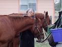 Kings-Kowboys-Monaville-11-19-2011-001