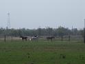 Kings-Kowboys-Monaville-11-19-2011-015