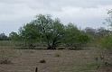 Kings-Kowboys-Monaville-11-19-2011-047