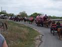 Kings-Kowboys-Monaville-11-19-2011-049