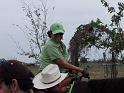 Kings-Kowboys-Monaville-11-19-2011-065