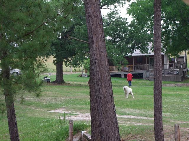 051.jpg