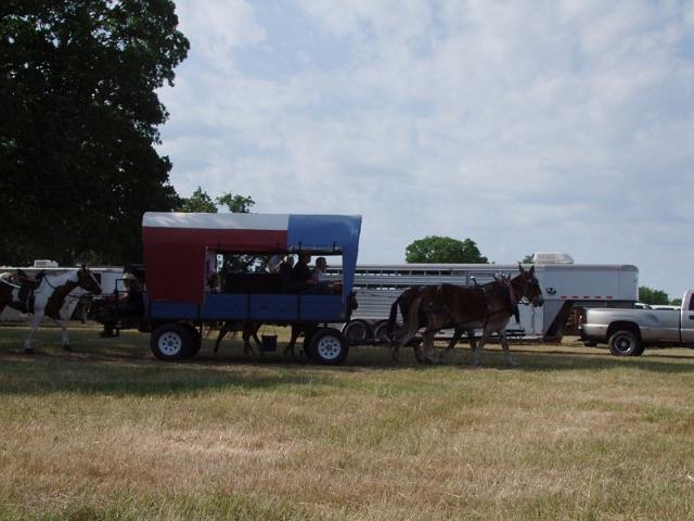 132.jpg
