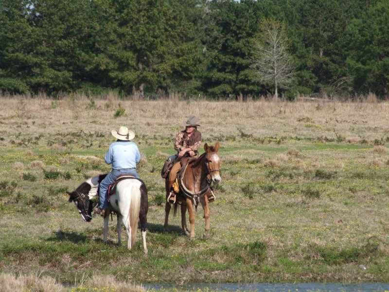 012-Cowboys.jpg