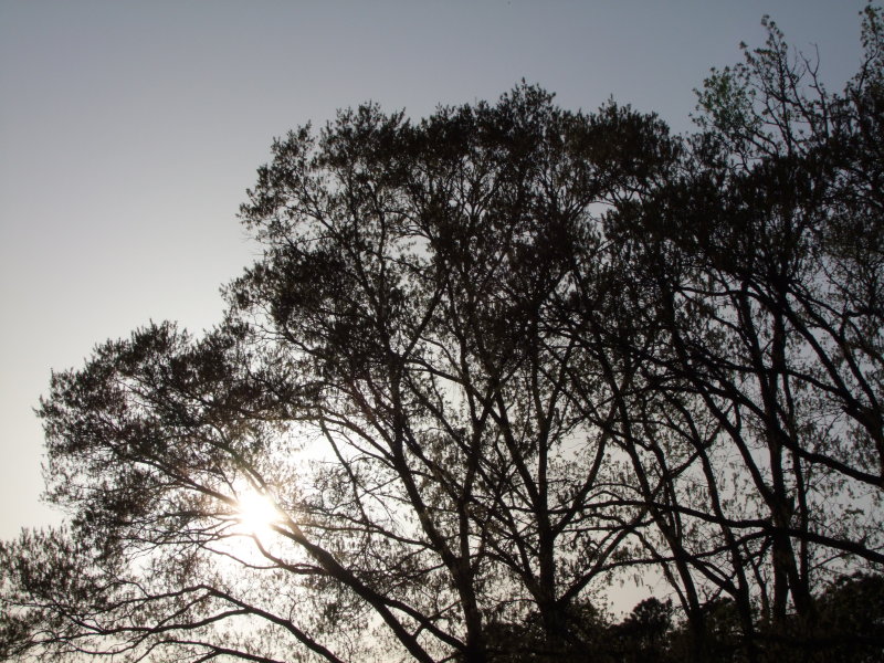 020-Sunrise.jpg