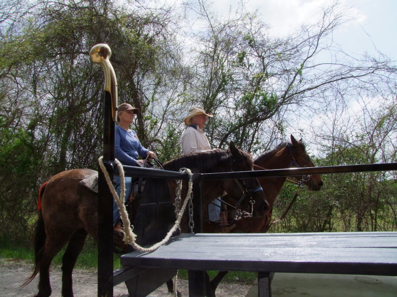 090-Trailriders.jpg