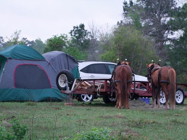 MCFA-Scholarship-Ride-2011-006.jpg
