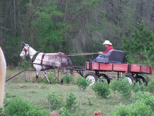 MCFA-Scholarship-Ride-2011-009.jpg