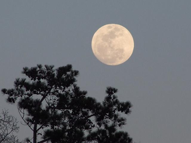 147-Moon.jpg