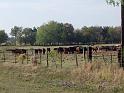 Monaville-Ride-11-2010-012