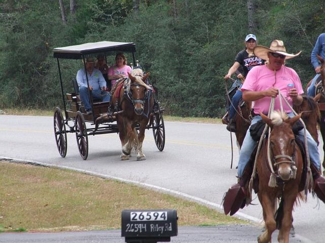 061-Buggy.jpg