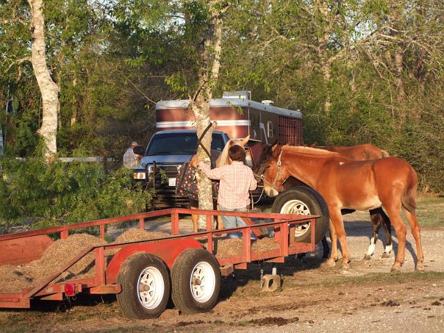 Stampede-Ride-10-22-2011-010.JPG