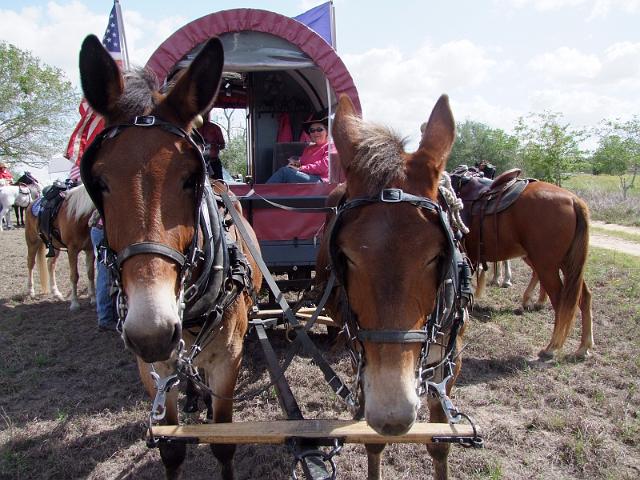 Stampede-Ride-10-22-2011-056.JPG