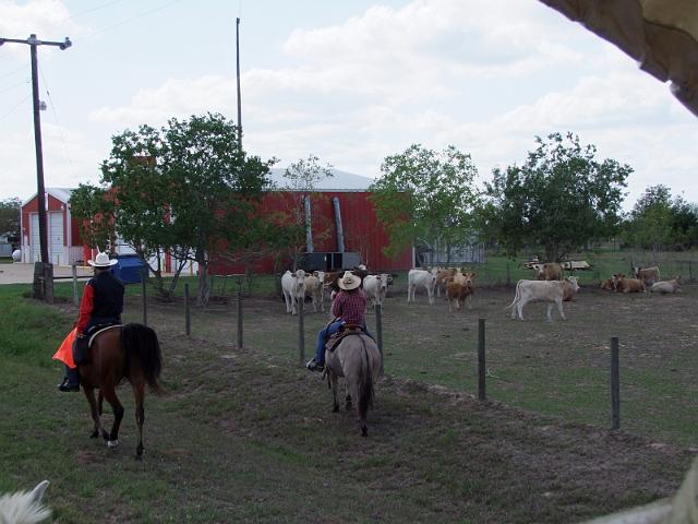 Stampede-Ride-10-22-2011-082.JPG