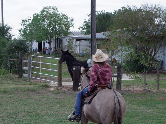 Stampede-Ride-10-22-2011-083.JPG